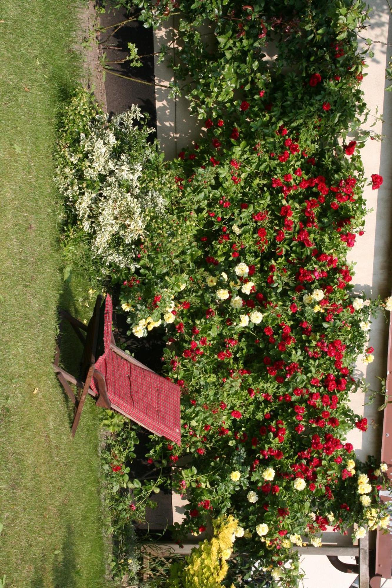 Pension Villa Beer Stralsund Esterno foto